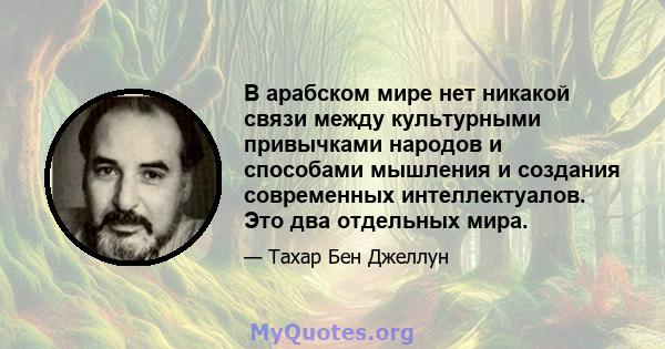 В арабском мире нет никакой связи между культурными привычками народов и способами мышления и создания современных интеллектуалов. Это два отдельных мира.