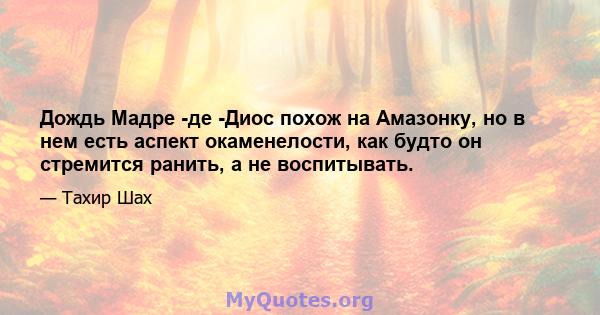 Дождь Мадре -де -Диос похож на Амазонку, но в нем есть аспект окаменелости, как будто он стремится ранить, а не воспитывать.