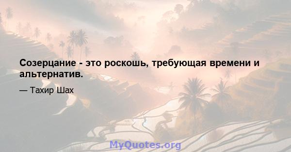 Созерцание - это роскошь, требующая времени и альтернатив.