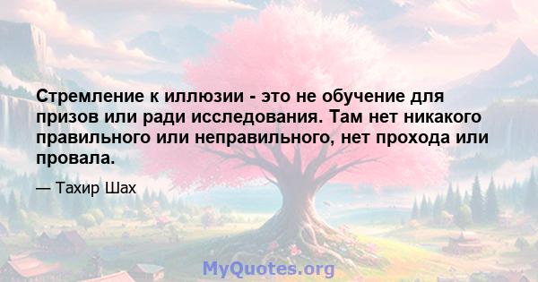 Стремление к иллюзии - это не обучение для призов или ради исследования. Там нет никакого правильного или неправильного, нет прохода или провала.