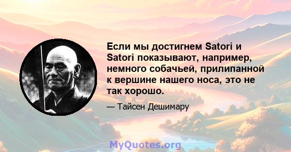 Если мы достигнем Satori и Satori показывают, например, немного собачьей, прилипанной к вершине нашего носа, это не так хорошо.