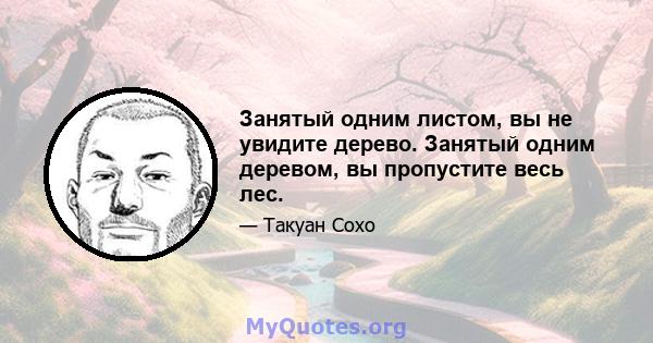 Занятый одним листом, вы не увидите дерево. Занятый одним деревом, вы пропустите весь лес.