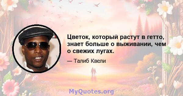 Цветок, который растут в гетто, знает больше о выживании, чем о свежих лугах.