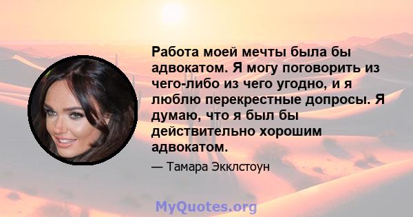 Работа моей мечты была бы адвокатом. Я могу поговорить из чего-либо из чего угодно, и я люблю перекрестные допросы. Я думаю, что я был бы действительно хорошим адвокатом.