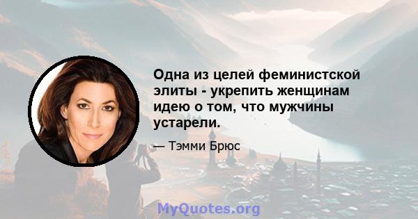 Одна из целей феминистской элиты - укрепить женщинам идею о том, что мужчины устарели.