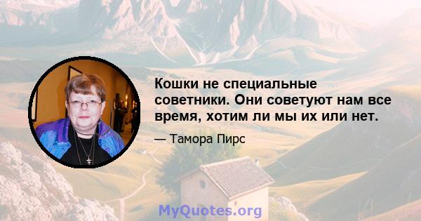 Кошки не специальные советники. Они советуют нам все время, хотим ли мы их или нет.