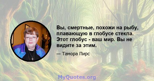 Вы, смертные, похожи на рыбу, плавающую в глобусе стекла. Этот глобус - ваш мир. Вы не видите за этим.