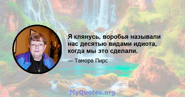 Я клянусь, воробья называли нас десятью видами идиота, когда мы это сделали.