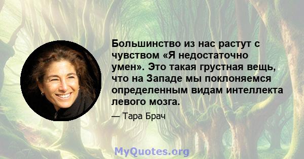 Большинство из нас растут с чувством «Я недостаточно умен». Это такая грустная вещь, что на Западе мы поклоняемся определенным видам интеллекта левого мозга.