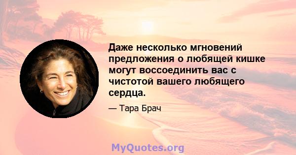 Даже несколько мгновений предложения о любящей кишке могут воссоединить вас с чистотой вашего любящего сердца.