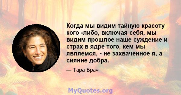 Когда мы видим тайную красоту кого -либо, включая себя, мы видим прошлое наше суждение и страх в ядре того, кем мы являемся, - не захваченное я, а сияние добра.