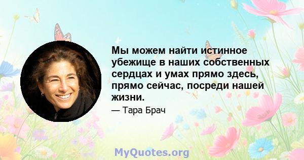 Мы можем найти истинное убежище в наших собственных сердцах и умах прямо здесь, прямо сейчас, посреди нашей жизни.