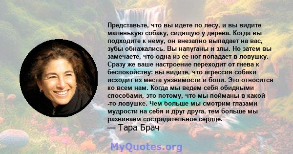 Представьте, что вы идете по лесу, и вы видите маленькую собаку, сидящую у дерева. Когда вы подходите к нему, он внезапно выпадает на вас, зубы обнажались. Вы напуганы и злы. Но затем вы замечаете, что одна из ее ног