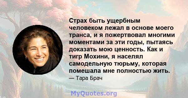 Страх быть ущербным человеком лежал в основе моего транса, и я пожертвовал многими моментами за эти годы, пытаясь доказать мою ценность. Как и тигр Мохини, я населял самодельную тюрьму, которая помешала мне полностью