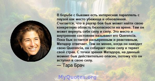 В борьбе с быками есть интересная параллель с паузой как место убежища и обновления. Считается, что в разгар боя бык может найти свою конкретную область безопасности на арене. Там он может вернуть себе силу и силу. Это