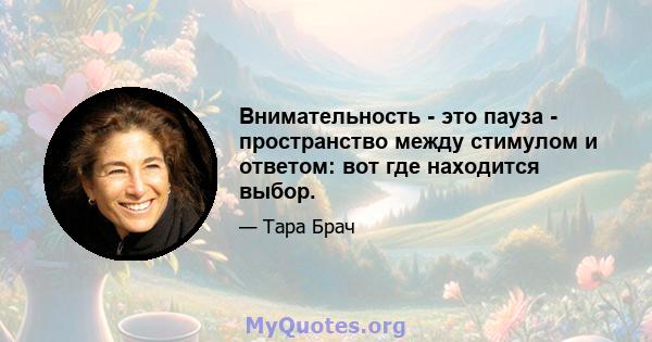 Внимательность - это пауза - пространство между стимулом и ответом: вот где находится выбор.