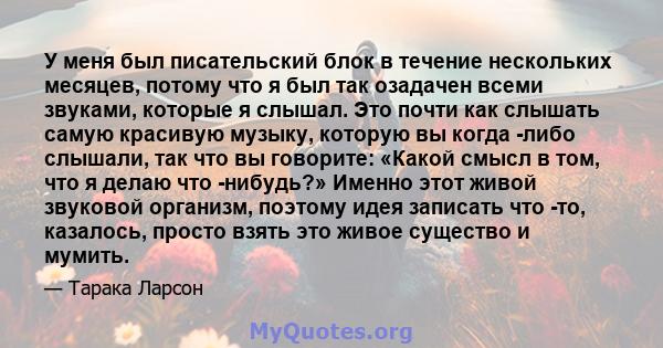 У меня был писательский блок в течение нескольких месяцев, потому что я был так озадачен всеми звуками, которые я слышал. Это почти как слышать самую красивую музыку, которую вы когда -либо слышали, так что вы говорите: 