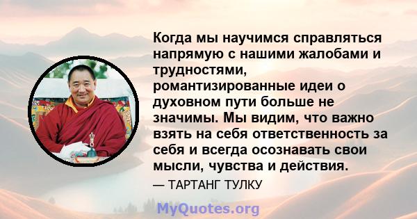 Когда мы научимся справляться напрямую с нашими жалобами и трудностями, романтизированные идеи о духовном пути больше не значимы. Мы видим, что важно взять на себя ответственность за себя и всегда осознавать свои мысли, 