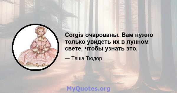 Corgis очарованы. Вам нужно только увидеть их в лунном свете, чтобы узнать это.