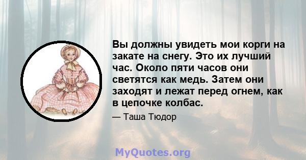 Вы должны увидеть мои корги на закате на снегу. Это их лучший час. Около пяти часов они светятся как медь. Затем они заходят и лежат перед огнем, как в цепочке колбас.