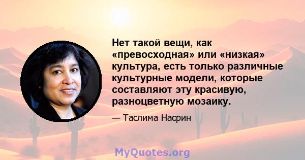 Нет такой вещи, как «превосходная» или «низкая» культура, есть только различные культурные модели, которые составляют эту красивую, разноцветную мозаику.