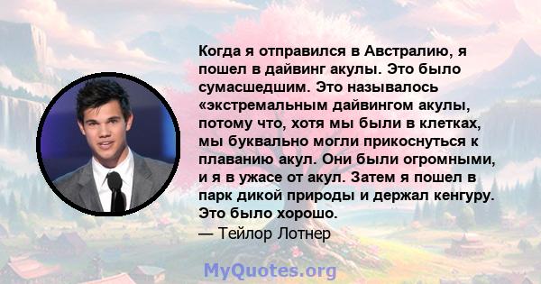 Когда я отправился в Австралию, я пошел в дайвинг акулы. Это было сумасшедшим. Это называлось «экстремальным дайвингом акулы, потому что, хотя мы были в клетках, мы буквально могли прикоснуться к плаванию акул. Они были 