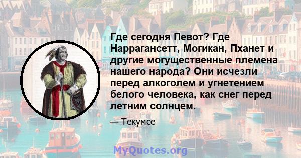 Где сегодня Певот? Где Наррагансетт, Могикан, Пханет и другие могущественные племена нашего народа? Они исчезли перед алкоголем и угнетением белого человека, как снег перед летним солнцем.