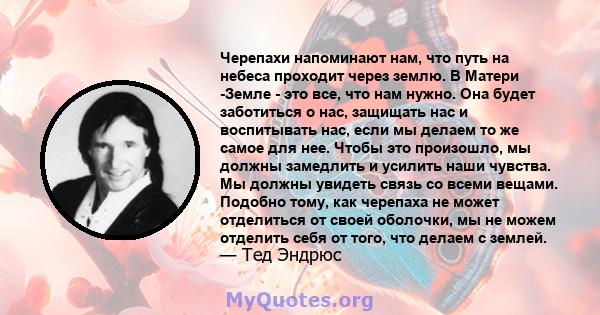 Черепахи напоминают нам, что путь на небеса проходит через землю. В Матери -Земле - это все, что нам нужно. Она будет заботиться о нас, защищать нас и воспитывать нас, если мы делаем то же самое для нее. Чтобы это