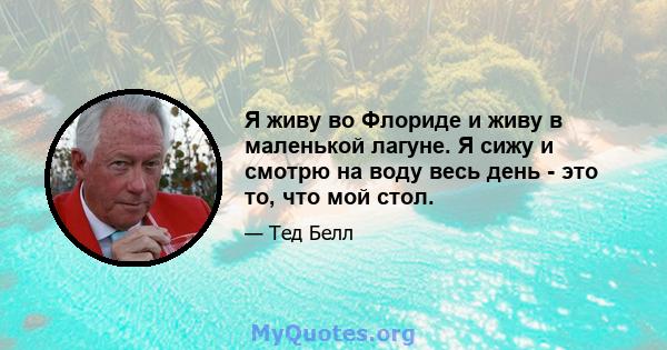 Я живу во Флориде и живу в маленькой лагуне. Я сижу и смотрю на воду весь день - это то, что мой стол.