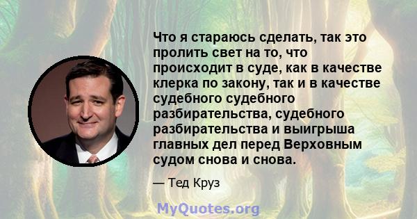 Что я стараюсь сделать, так это пролить свет на то, что происходит в суде, как в качестве клерка по закону, так и в качестве судебного судебного разбирательства, судебного разбирательства и выигрыша главных дел перед