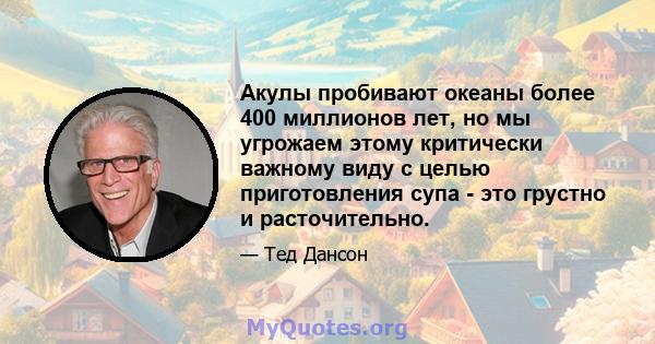 Акулы пробивают океаны более 400 миллионов лет, но мы угрожаем этому критически важному виду с целью приготовления супа - это грустно и расточительно.