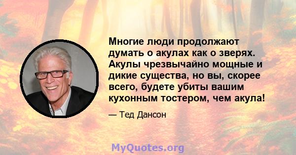 Многие люди продолжают думать о акулах как о зверях. Акулы чрезвычайно мощные и дикие существа, но вы, скорее всего, будете убиты вашим кухонным тостером, чем акула!