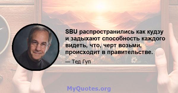 SBU распространились как кудзу и задыхают способность каждого видеть, что, черт возьми, происходит в правительстве.