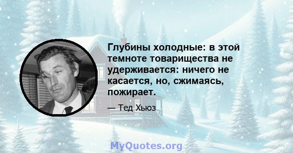 Глубины холодные: в этой темноте товарищества не удерживается: ничего не касается, но, сжимаясь, пожирает.