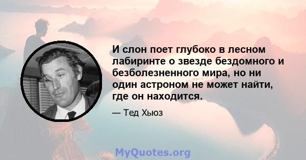 И слон поет глубоко в лесном лабиринте о звезде бездомного и безболезненного мира, но ни один астроном не может найти, где он находится.