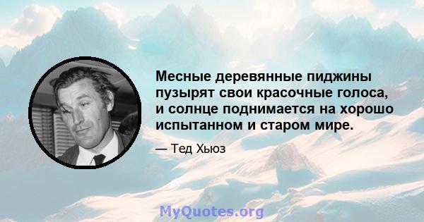 Месные деревянные пиджины пузырят свои красочные голоса, и солнце поднимается на хорошо испытанном и старом мире.