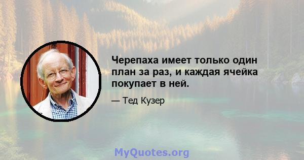 Черепаха имеет только один план за раз, и каждая ячейка покупает в ней.