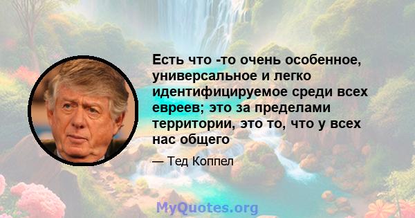 Есть что -то очень особенное, универсальное и легко идентифицируемое среди всех евреев; это за пределами территории, это то, что у всех нас общего