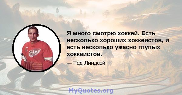 Я много смотрю хоккей. Есть несколько хороших хоккеистов, и есть несколько ужасно глупых хоккеистов.