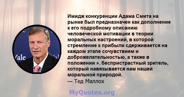 Имидж конкуренции Адама Смита на рынке был предназначен как дополнение к его подробному описанию человеческой мотивации в теории моральных настроений, в которой стремление к прибыли сдерживается на каждом этапе