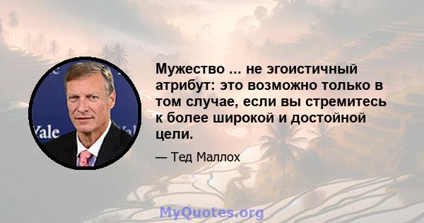 Мужество ... не эгоистичный атрибут: это возможно только в том случае, если вы стремитесь к более широкой и достойной цели.