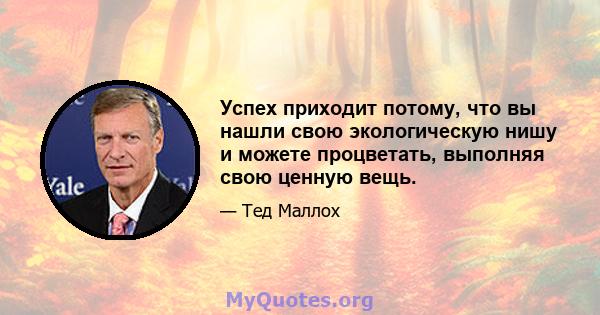 Успех приходит потому, что вы нашли свою экологическую нишу и можете процветать, выполняя свою ценную вещь.