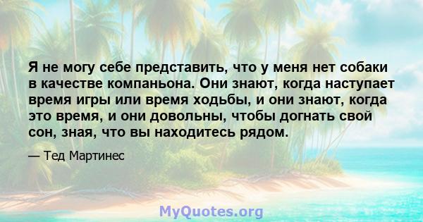 Я не могу себе представить, что у меня нет собаки в качестве компаньона. Они знают, когда наступает время игры или время ходьбы, и они знают, когда это время, и они довольны, чтобы догнать свой сон, зная, что вы