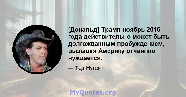 [Дональд] Трамп ноябрь 2016 года действительно может быть долгожданным пробуждением, вызывая Америку отчаянно нуждается.