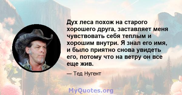 Дух леса похож на старого хорошего друга, заставляет меня чувствовать себя теплым и хорошим внутри. Я знал его имя, и было приятно снова увидеть его, потому что на ветру он все еще жив.