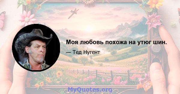 Моя любовь похожа на утюг шин.