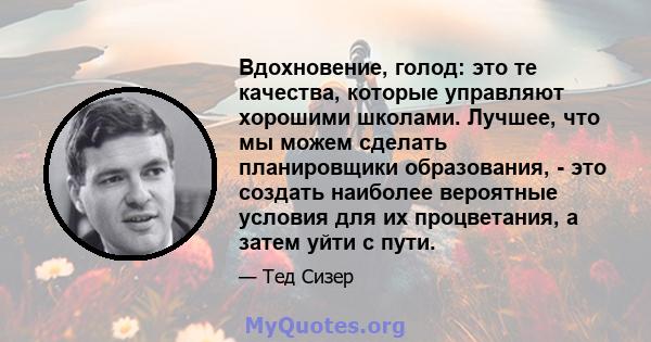 Вдохновение, голод: это те качества, которые управляют хорошими школами. Лучшее, что мы можем сделать планировщики образования, - это создать наиболее вероятные условия для их процветания, а затем уйти с пути.