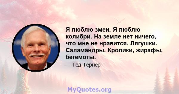 Я люблю змеи. Я люблю колибри. На земле нет ничего, что мне не нравится. Лягушки. Саламандры. Кролики, жирафы, бегемоты.