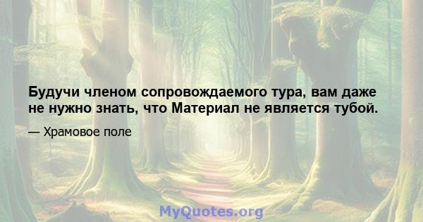 Будучи членом сопровождаемого тура, вам даже не нужно знать, что Материал не является тубой.