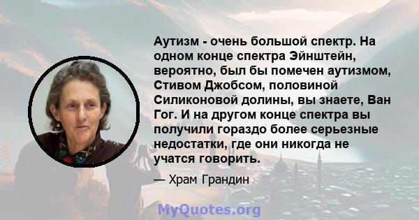 Аутизм - очень большой спектр. На одном конце спектра Эйнштейн, вероятно, был бы помечен аутизмом, Стивом Джобсом, половиной Силиконовой долины, вы знаете, Ван Гог. И на другом конце спектра вы получили гораздо более